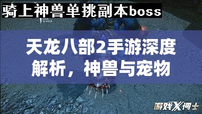 天龙八部2手游深度解析，神兽与宠物高效获取全攻略指南