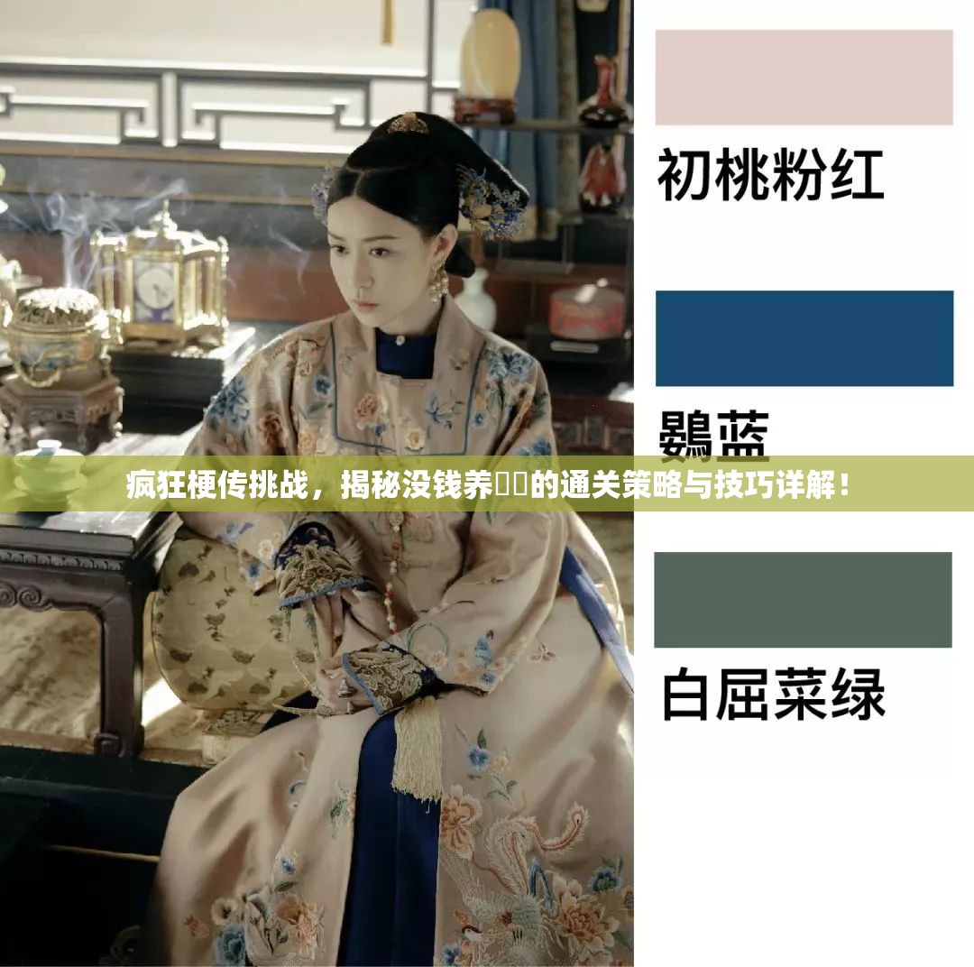 疯狂梗传挑战，揭秘没钱养嬛嬛的通关策略与技巧详解！