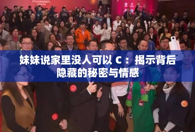 妹妹说家里没人可以 C ：揭示背后隐藏的秘密与情感