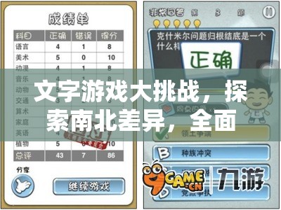 文字游戏大挑战，探索南北差异，全面揭秘通关秘籍与技巧！