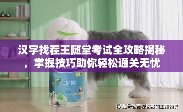 汉字找茬王随堂考试全攻略揭秘，掌握技巧助你轻松通关无忧