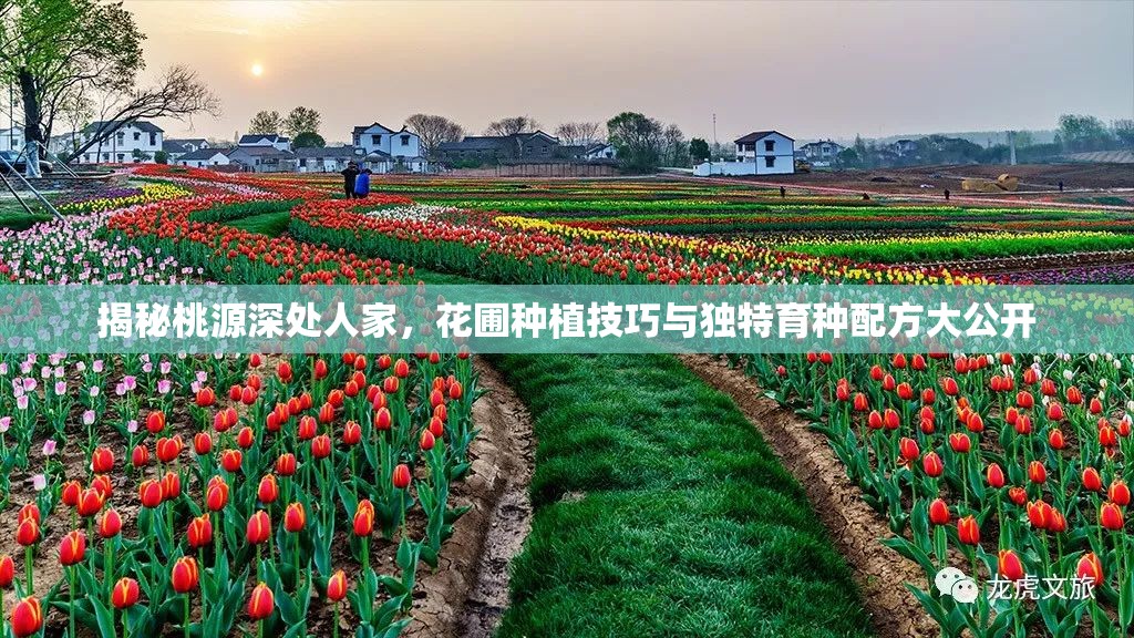 揭秘桃源深处人家，花圃种植技巧与独特育种配方大公开