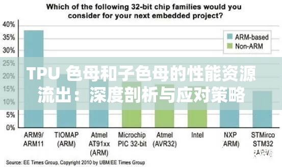 TPU 色母和子色母的性能资源流出：深度剖析与应对策略