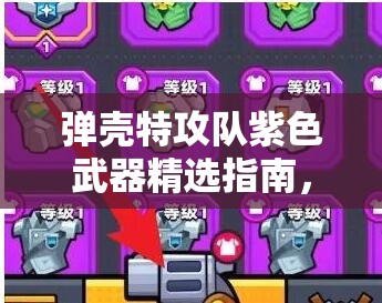 弹壳特攻队紫色武器精选指南，游戏深度玩法攻略与高效资源管理策略