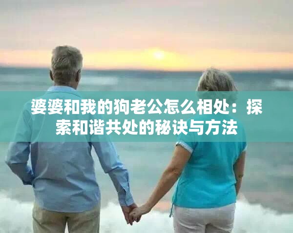 婆婆和我的狗老公怎么相处：探索和谐共处的秘诀与方法