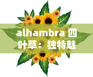 alhambra 四叶草：独特魅力与美好寓意的象征
