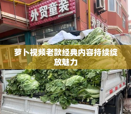 萝卜视频老款经典内容持续绽放魅力
