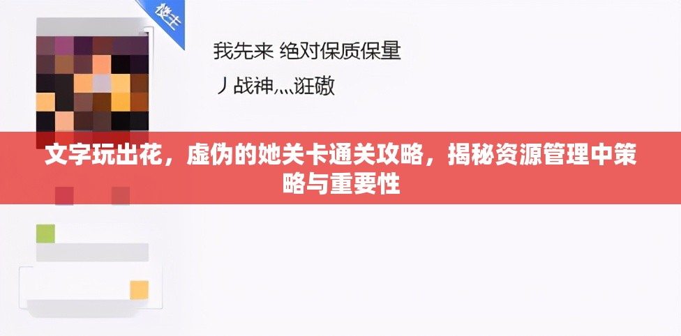 文字玩出花，虚伪的她关卡通关攻略，揭秘资源管理中策略与重要性