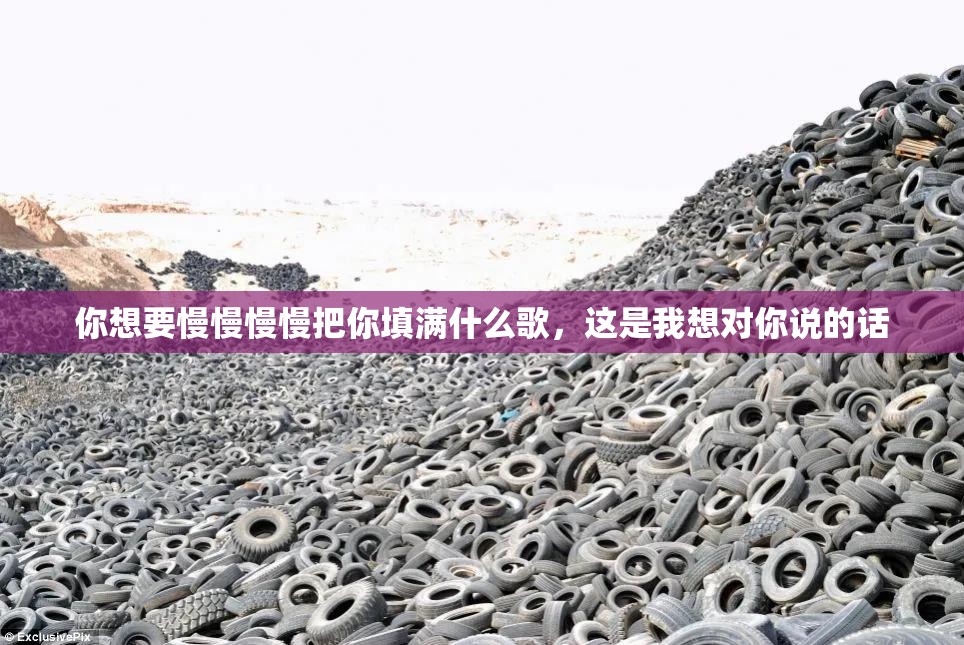 你想要慢慢慢慢把你填满什么歌，这是我想对你说的话