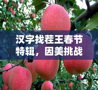 汉字找茬王春节特辑，因美挑战大揭秘，19字通关秘籍助你轻松解锁