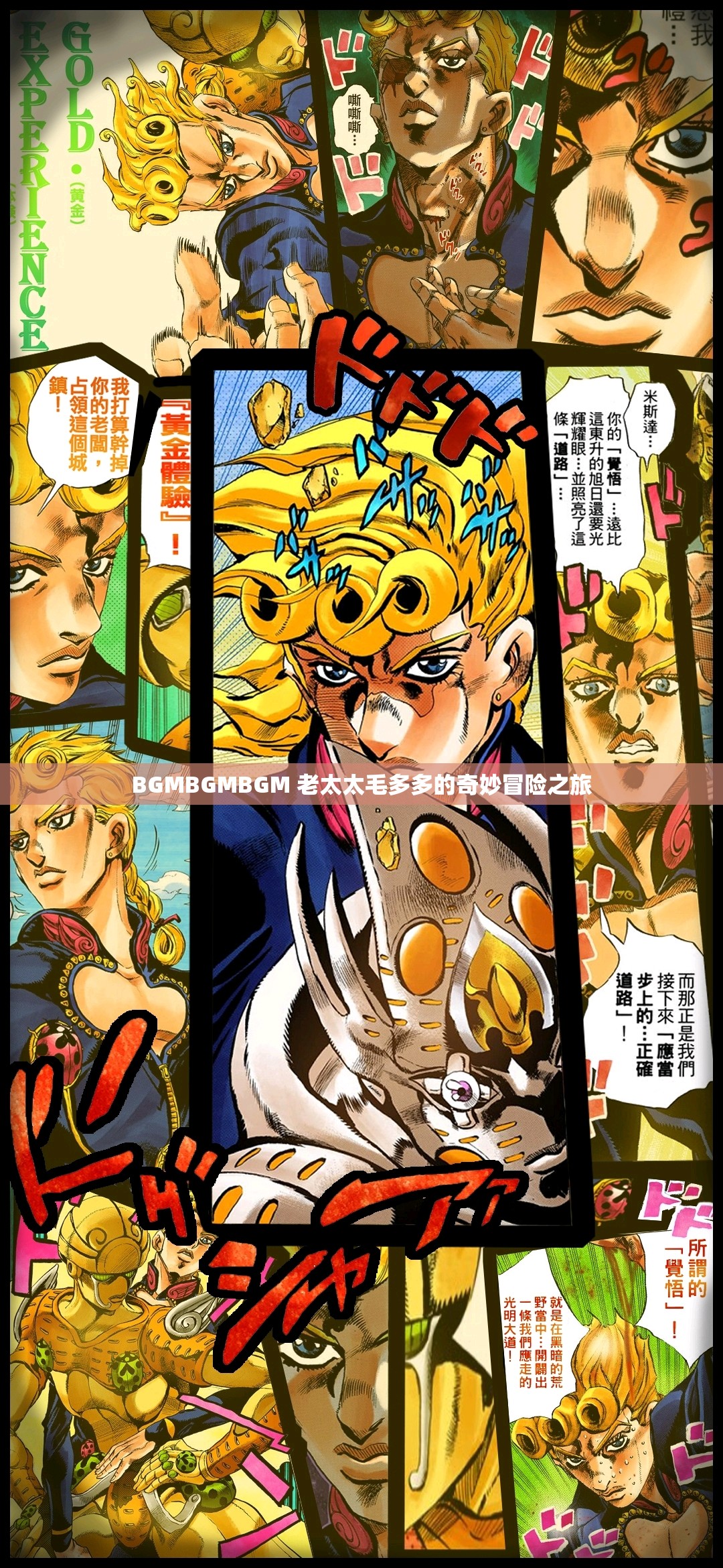 BGMBGMBGM 老太太毛多多的奇妙冒险之旅