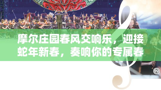 摩尔庄园春风交响乐，迎接蛇年新春，奏响你的专属春日乐章
