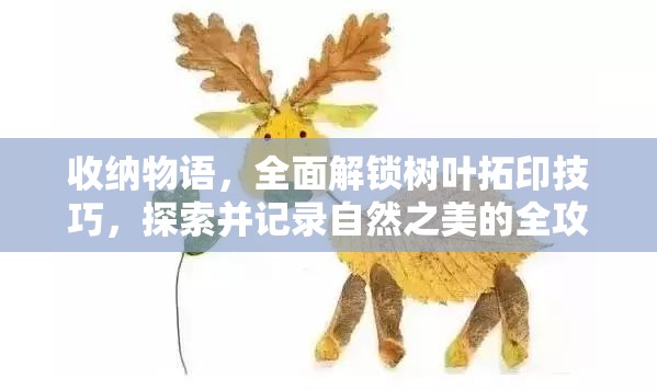收纳物语，全面解锁树叶拓印技巧，探索并记录自然之美的全攻略