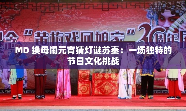MD 换母闹元宵猜灯谜苏秦：一场独特的节日文化挑战