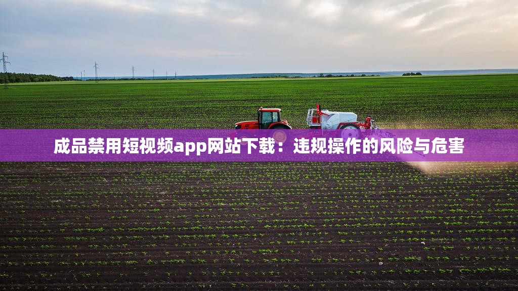 成品禁用短视频app网站下载：违规操作的风险与危害