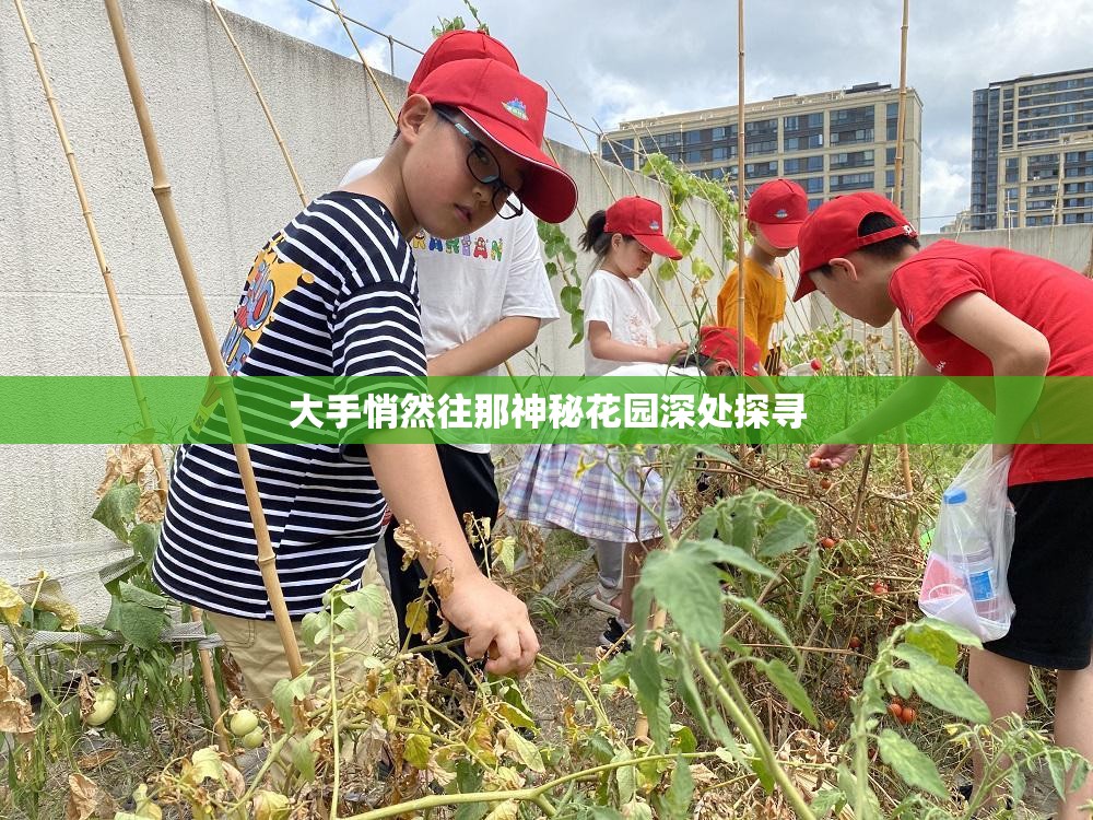 大手悄然往那神秘花园深处探寻