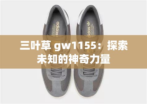 三叶草 gw1155：探索未知的神奇力量