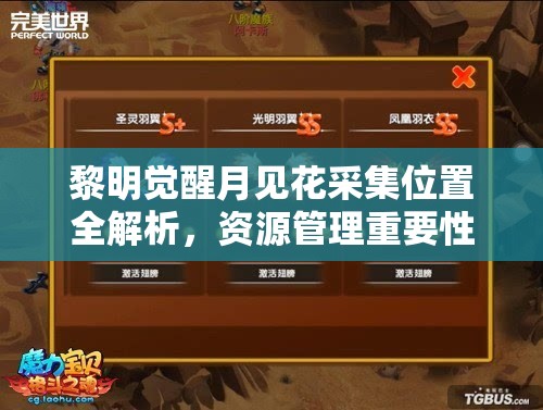黎明觉醒月见花采集位置全解析，资源管理重要性及高效采集利用策略