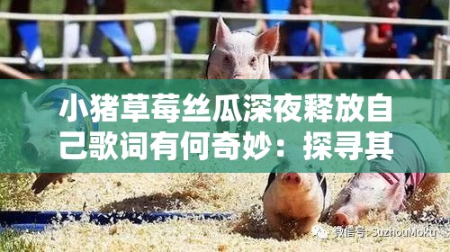 小猪草莓丝瓜深夜释放自己歌词有何奇妙：探寻其中独特魅力
