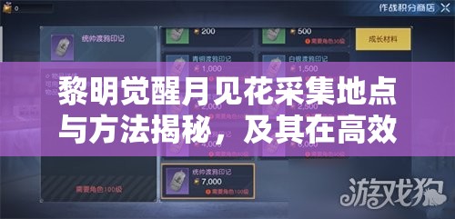 黎明觉醒月见花采集地点与方法揭秘，及其在高效资源管理中的关键作用