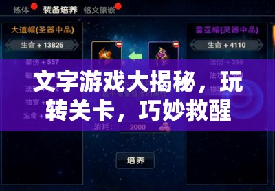 文字游戏大揭秘，玩转关卡，巧妙救醒美女通关秘籍全攻略