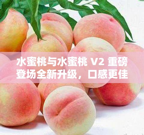 水蜜桃与水蜜桃 V2 重磅登场全新升级，口感更佳