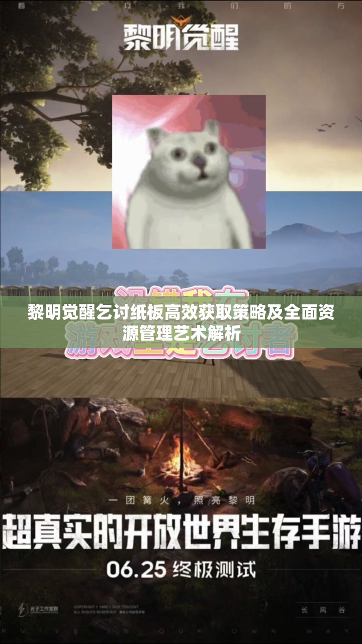 黎明觉醒乞讨纸板高效获取策略及全面资源管理艺术解析