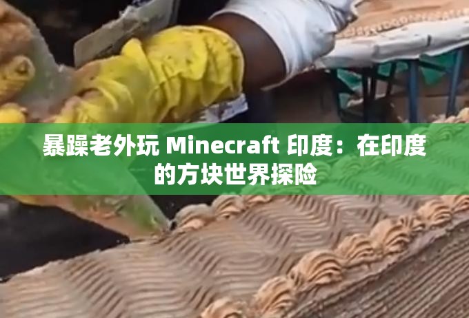 暴躁老外玩 Minecraft 印度：在印度的方块世界探险