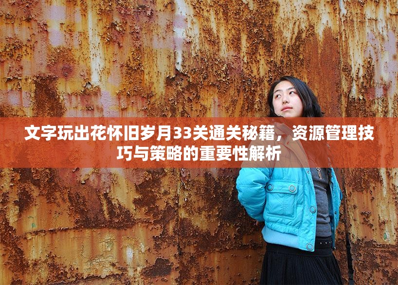 文字玩出花怀旧岁月33关通关秘籍，资源管理技巧与策略的重要性解析