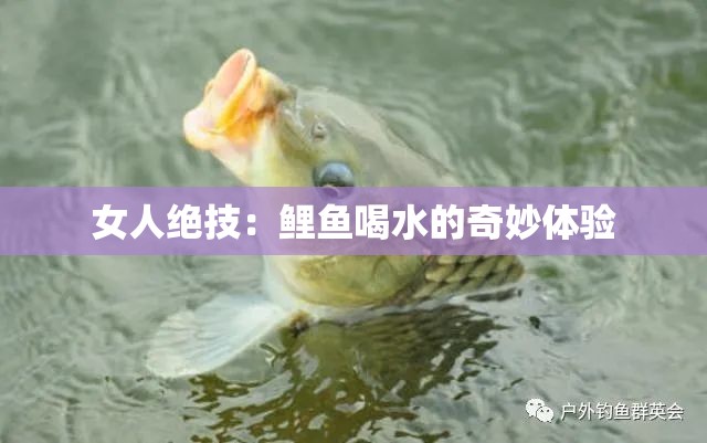 女人绝技：鲤鱼喝水的奇妙体验