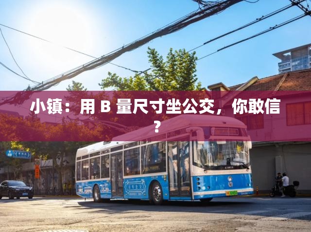 小镇：用 B 量尺寸坐公交，你敢信？