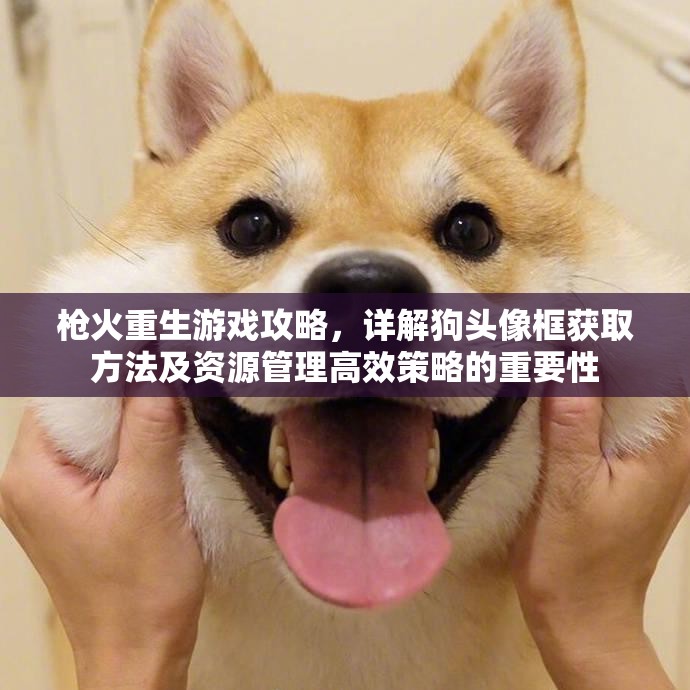 枪火重生游戏攻略，详解狗头像框获取方法及资源管理高效策略的重要性