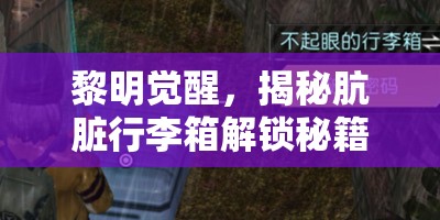 黎明觉醒，揭秘肮脏行李箱解锁秘籍与高效资源管理艺术策略