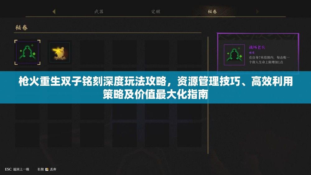 枪火重生双子铭刻深度玩法攻略，资源管理技巧、高效利用策略及价值最大化指南