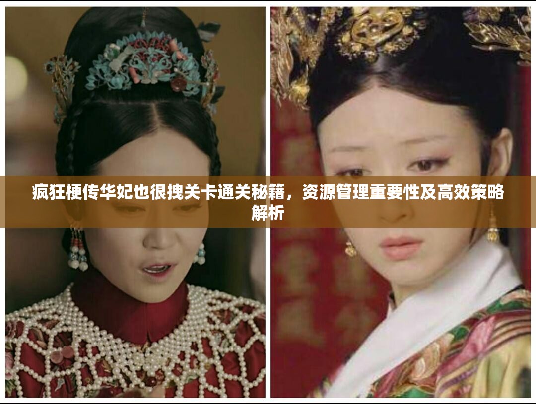 疯狂梗传华妃也很拽关卡通关秘籍，资源管理重要性及高效策略解析