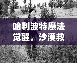 哈利波特魔法觉醒，沙漠救援挑战五星通关全攻略详解