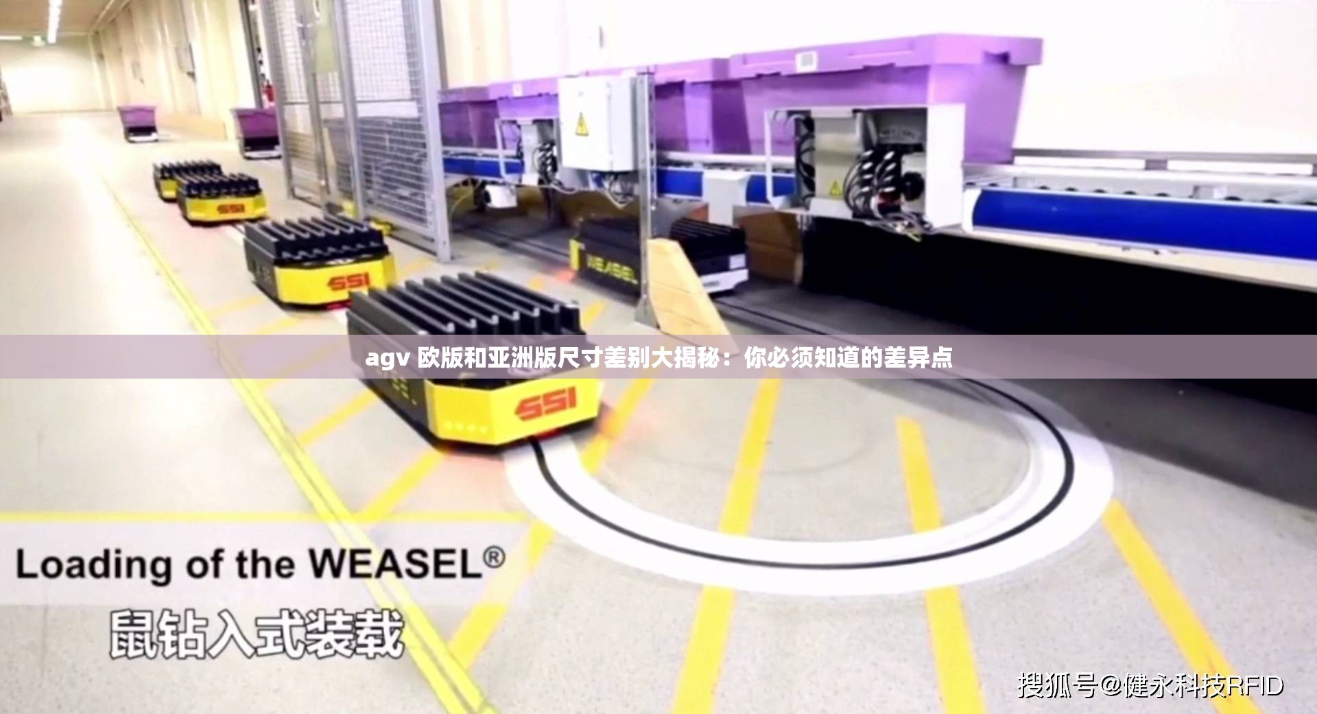 agv 欧版和亚洲版尺寸差别大揭秘：你必须知道的差异点