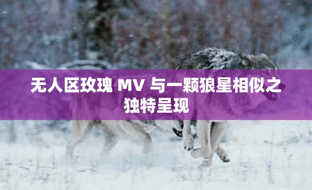 无人区玫瑰 MV 与一颗狼星相似之独特呈现