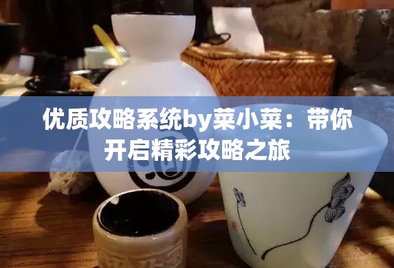优质攻略系统by菜小菜：带你开启精彩攻略之旅
