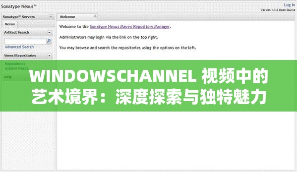 WINDOWSCHANNEL 视频中的艺术境界：深度探索与独特魅力展现