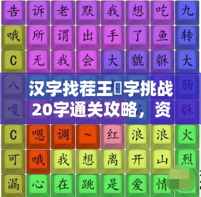 汉字找茬王竜字挑战20字通关攻略，资源管理技巧与重要性解析