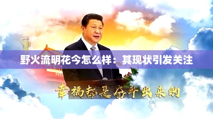 野火流明花今怎么样：其现状引发关注