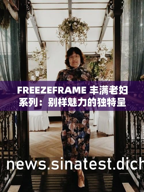 FREEZEFRAME 丰满老妇系列：别样魅力的独特呈现