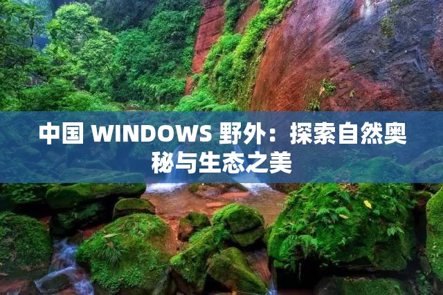 中国 WINDOWS 野外：探索自然奥秘与生态之美