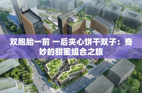 双胞胎一前 一后夹心饼干双子：奇妙的甜蜜组合之旅