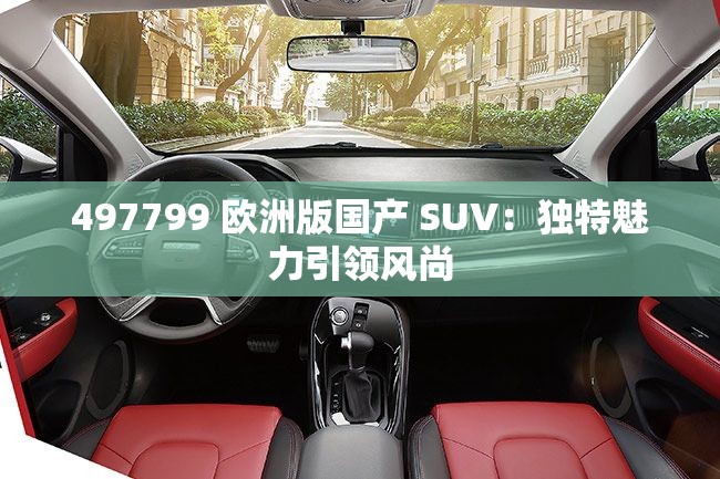 497799 欧洲版国产 SUV：独特魅力引领风尚