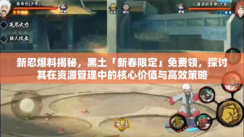 新忍爆料揭秘，黑土「新春限定」免费领，探讨其在资源管理中的核心价值与高效策略