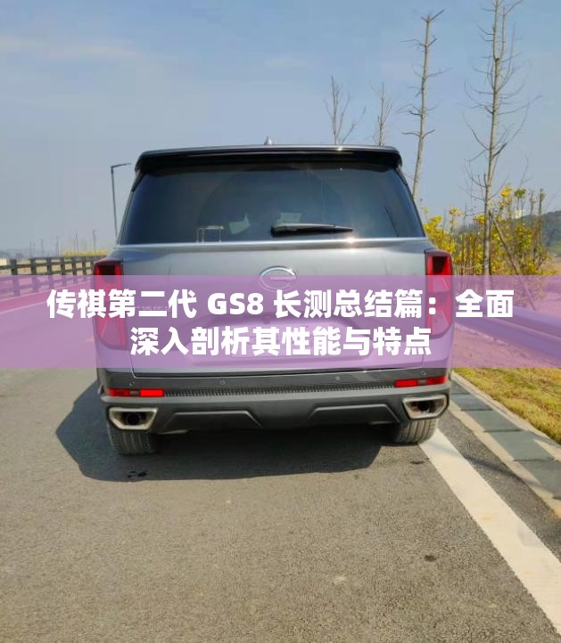 传祺第二代 GS8 长测总结篇：全面深入剖析其性能与特点