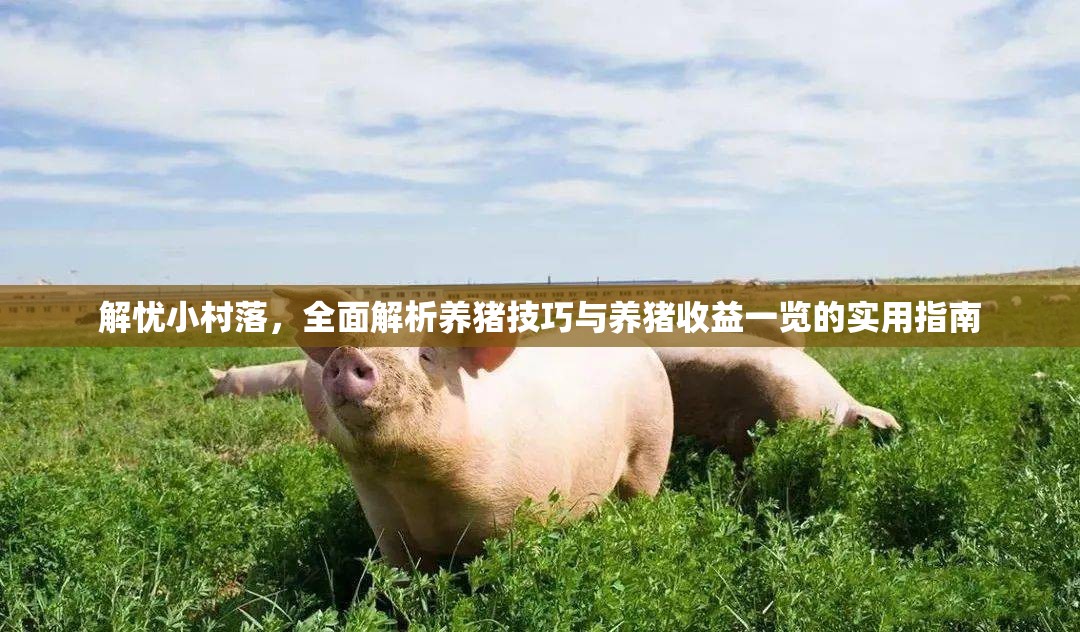 解忧小村落，全面解析养猪技巧与养猪收益一览的实用指南