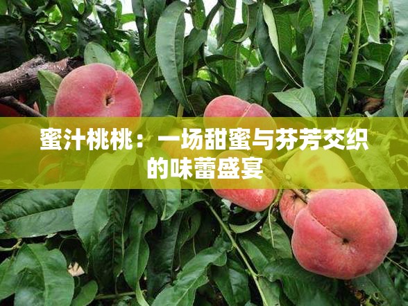 蜜汁桃桃：一场甜蜜与芬芳交织的味蕾盛宴
